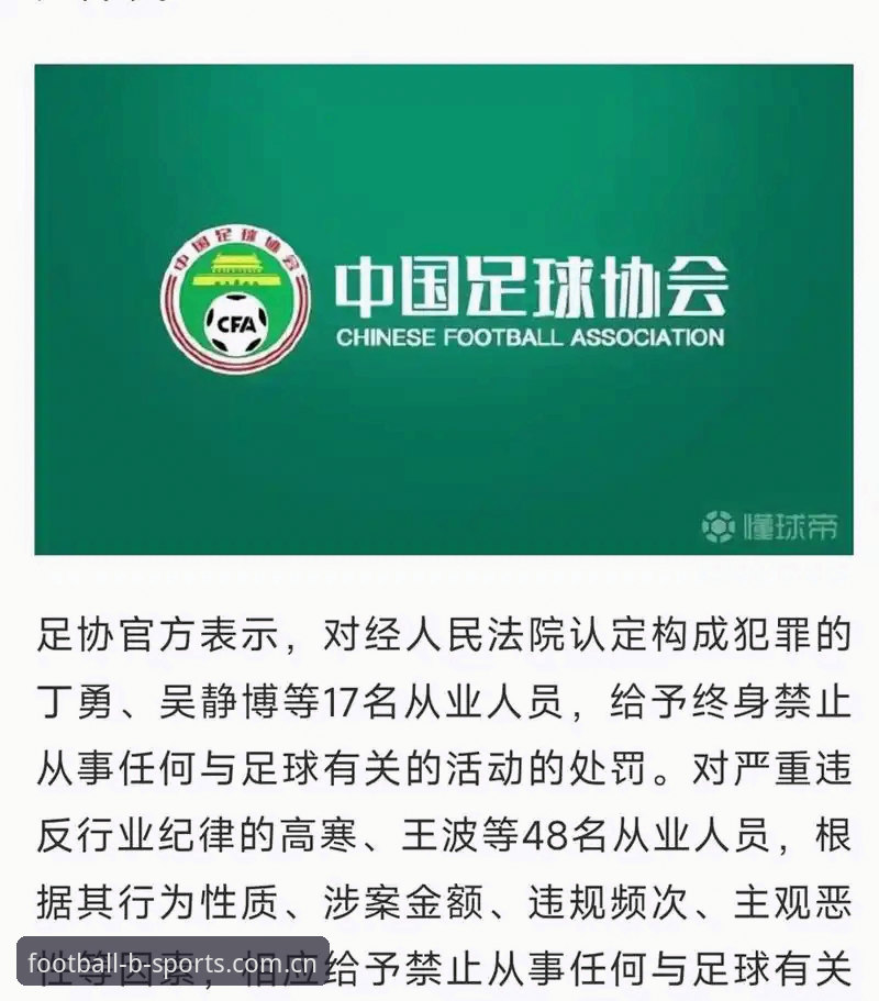 3大看点解密足协第三批禁足名单：65名从业者遭重罚的深层原因
